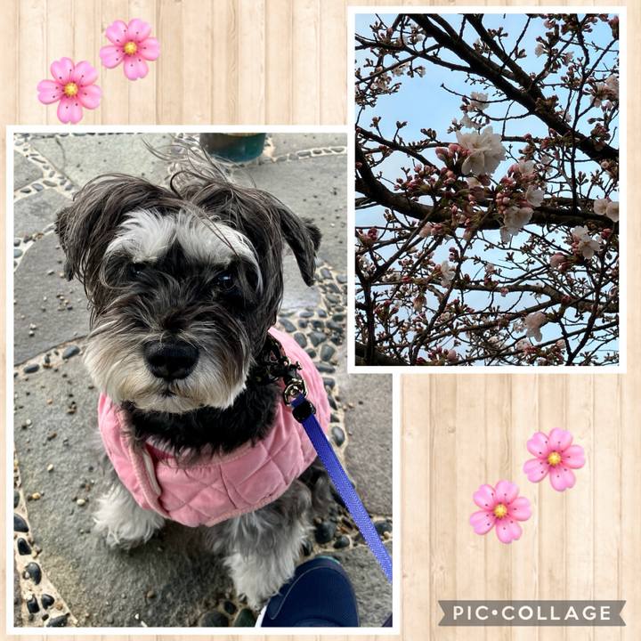 8f5f4883 b9fc 47c2 b200 7ba1d34a4bf1 1712327324890