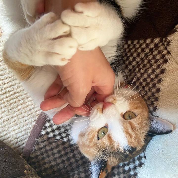 8f5f52bc 3b1e 49fa bcd0 2ca06bb8433f 1641102127742