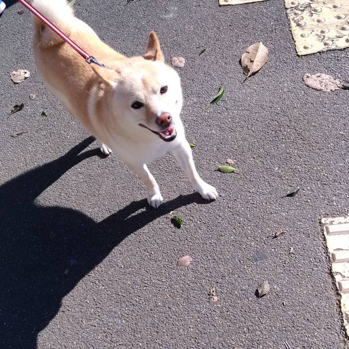 8f5f644b ec35 4fcf 9b77 dfee5d417366 1606528393006