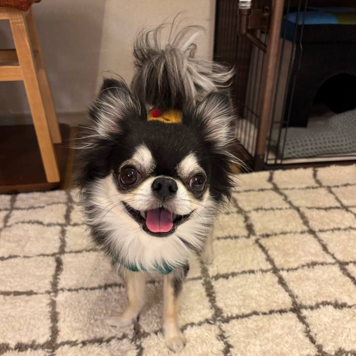 8f5f6a04 638f 42d2 80eb c19f318b589f 1735056035429