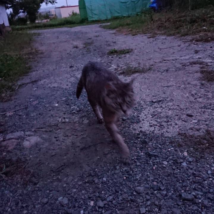 8f5f6b26 37e3 42ab bc28 3456db215248 1567762428706