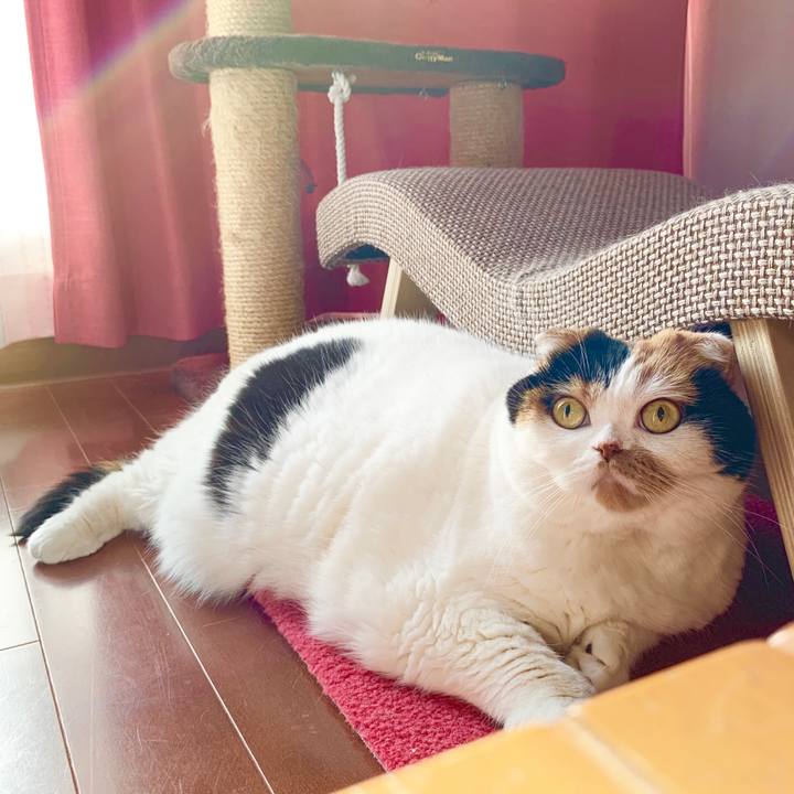 8f5f8df2 2c29 4c96 bcc8 2e43163a97dc 1570324827758