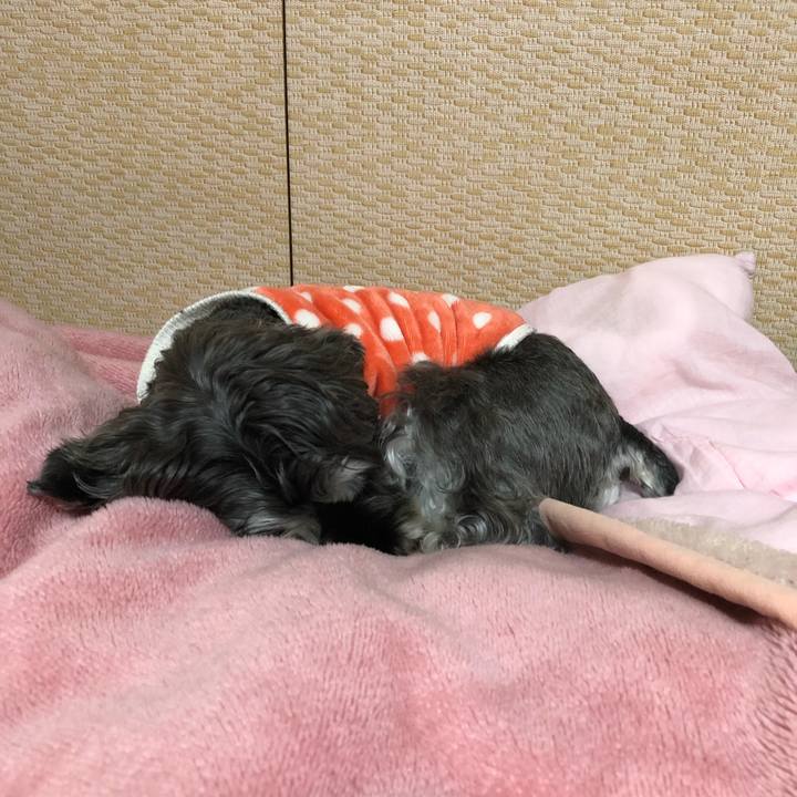 8f5fb892 0a9e 4fdb 86f0 6bede58f05d7 1671118463058