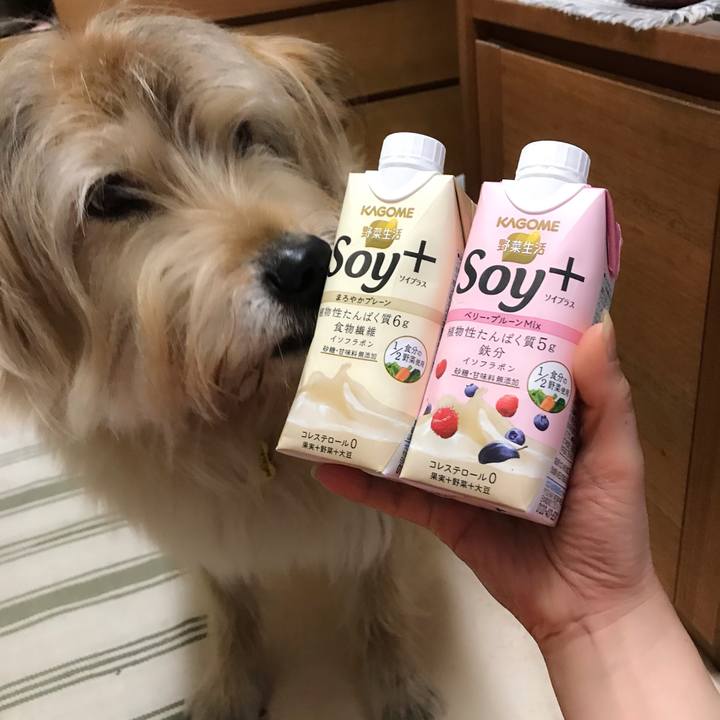 8f5fd5d0 f628 49f1 b187 c335d559198d 1584617782763