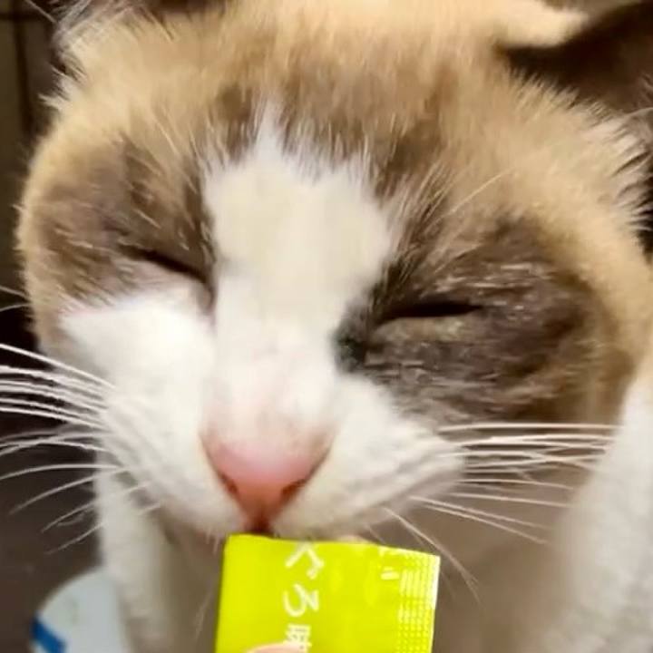 8f5fef9e 6d1b 4b61 a2e3 f968923641db 1732615474343