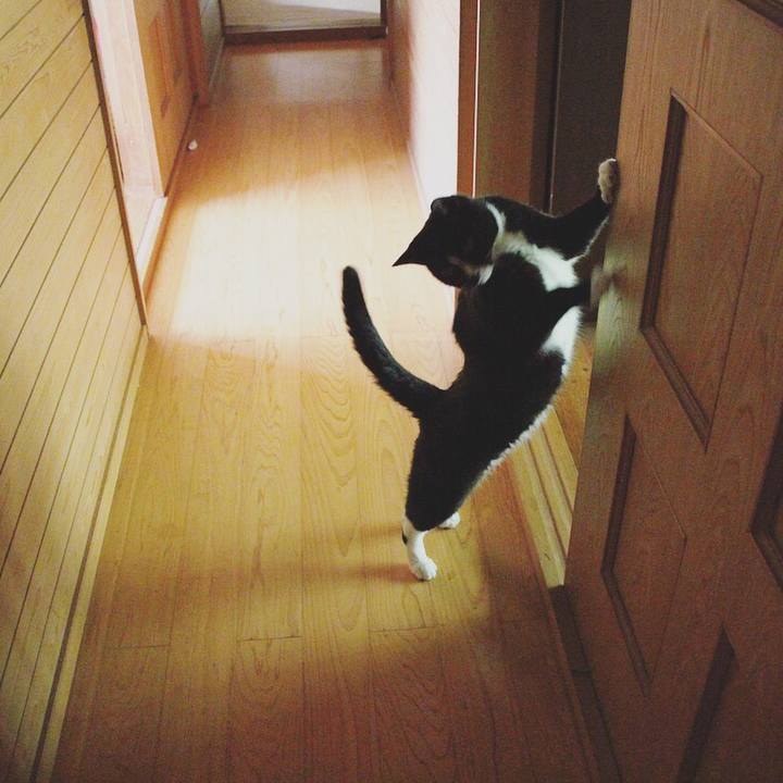 8f6007d5 cb77 4f56 b6b7 a594b584a34e 1534940163990