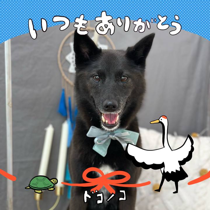 8f602bc4 d6bb 46c8 9619 59c7352f0f57 1726979966021