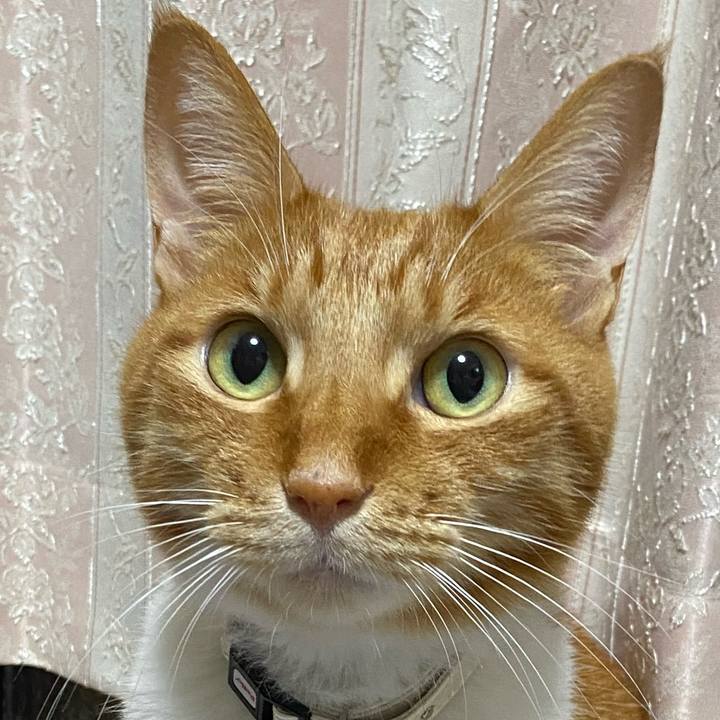 8f603d61 fad8 4fa1 90fe a4cc2b7a281c 1625916215805