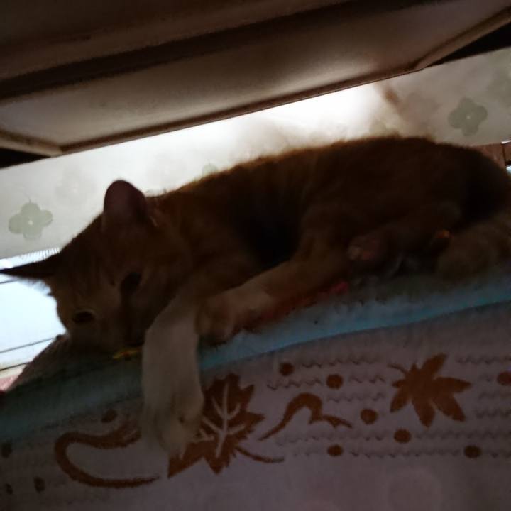 8f604e38 cae5 4338 bf26 1da10d3867f7 1566504828709