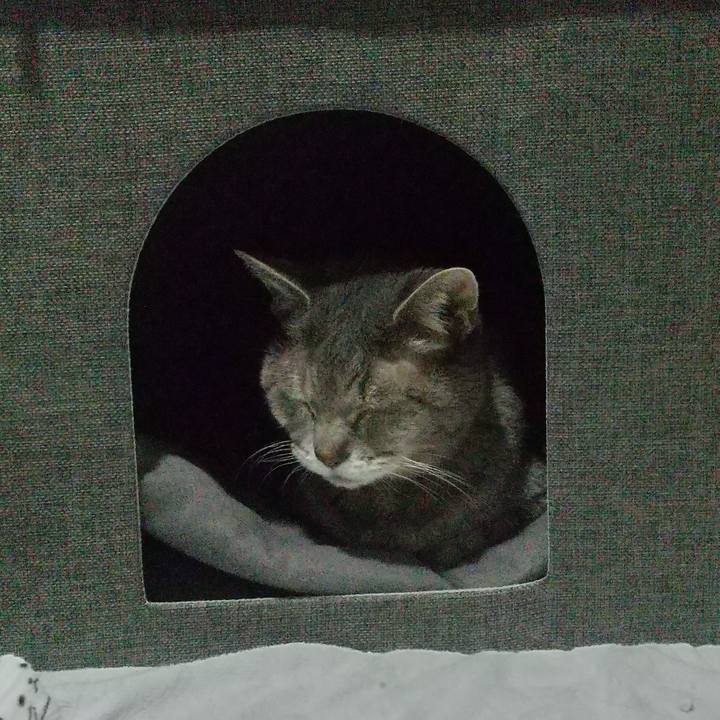 8f604e3c da1a 4705 aa5a 8226c932c56a 1672742935879