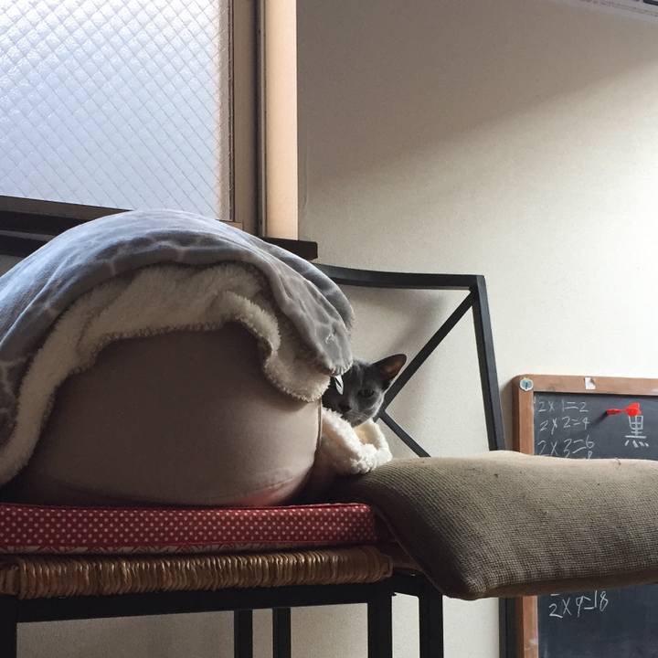 8f605bba 09d6 43a7 b464 b08838ca0e84 1516064031300