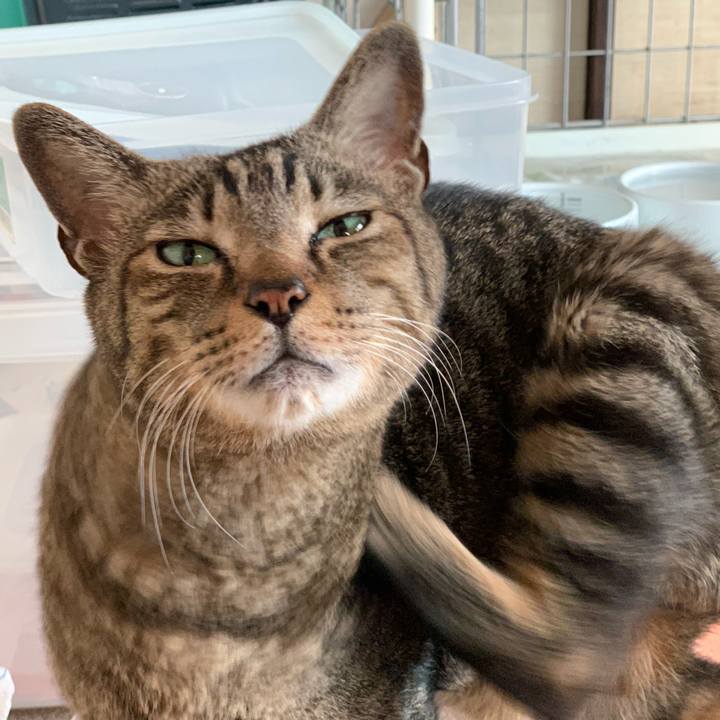 8f614e0e 149c 4e7d 829a 96e58c05c030 1587863917054