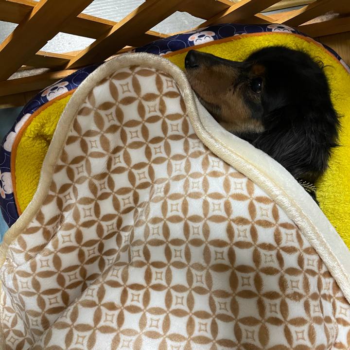 8f61511d a4f6 4adf a652 26162ea2ba54 1609768719331