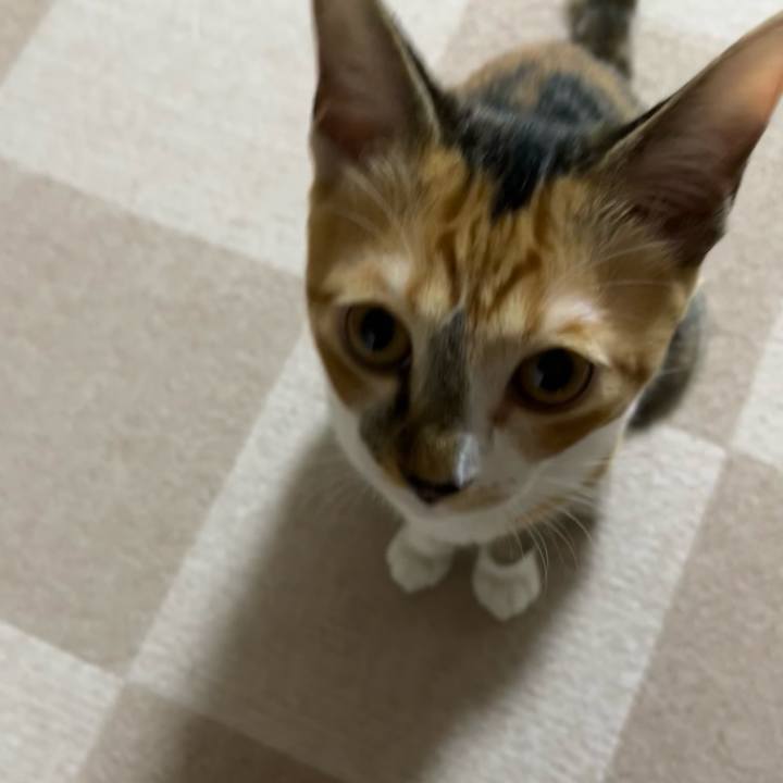 8f618521 0a25 4fd0 ae71 fe42d7722b0c 1662211516140