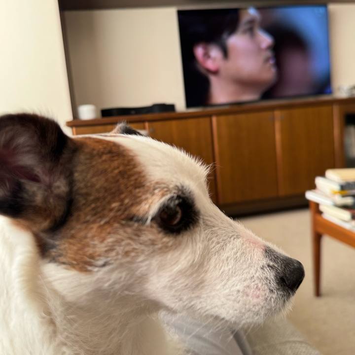 8f61abe1 74aa 4613 a4ce df952c1e5644 1773536298825