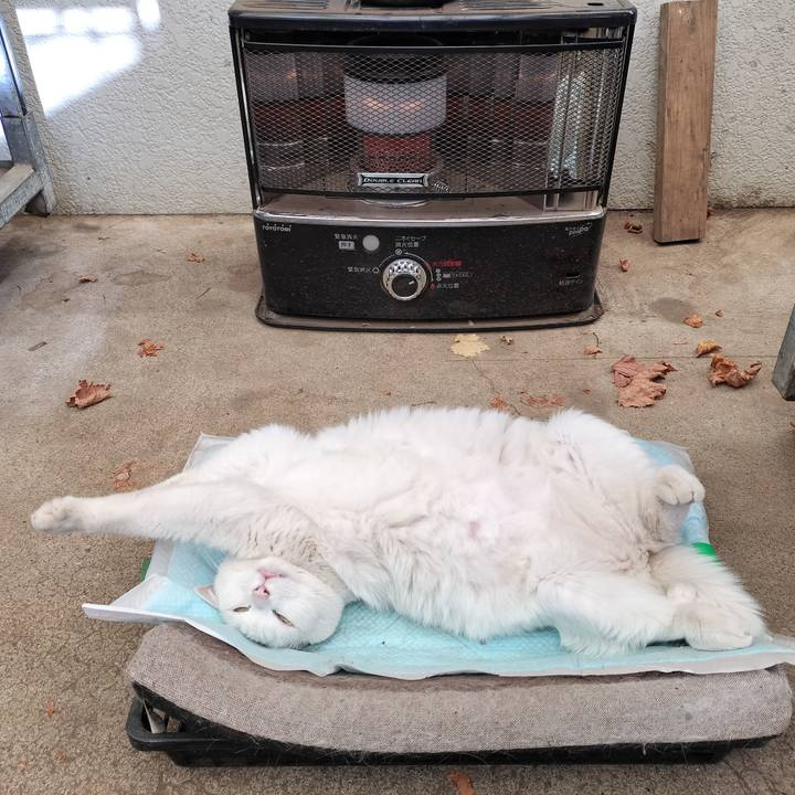 8f61dc8d 2eb3 4523 96ef aba65bd03066 1767429548420