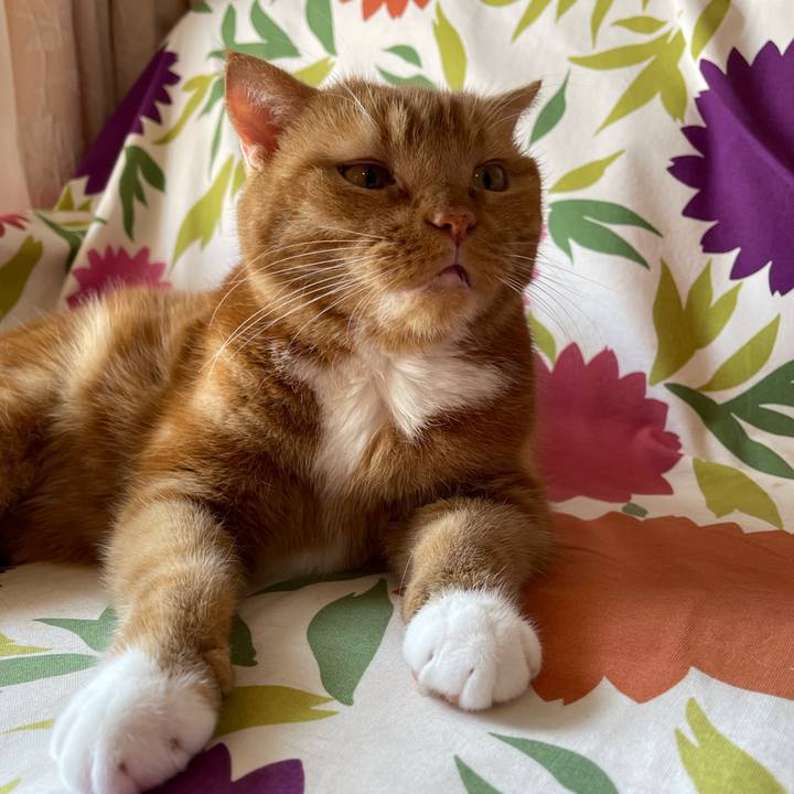 8f621d86 bda6 4866 b33e fd04c92b3e52 1660365131358