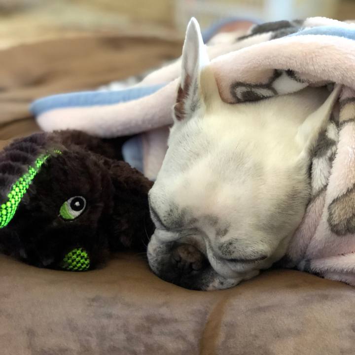 8f622328 8da4 462e 86b9 c20db5316bac 1549162513971