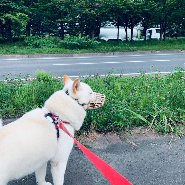 8f622adf 2687 49b5 8307 9878b58c73f5 1595277912998