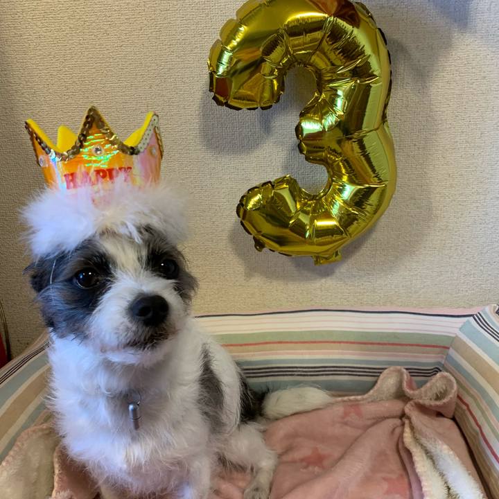 8f625d37 0c97 42af 8e89 a812c155d764 1582533752306