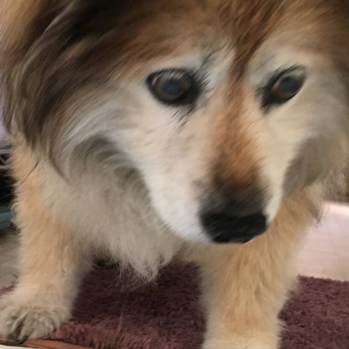 8f628ebe 7722 4af8 8008 b559b65c31ba 1612255622997