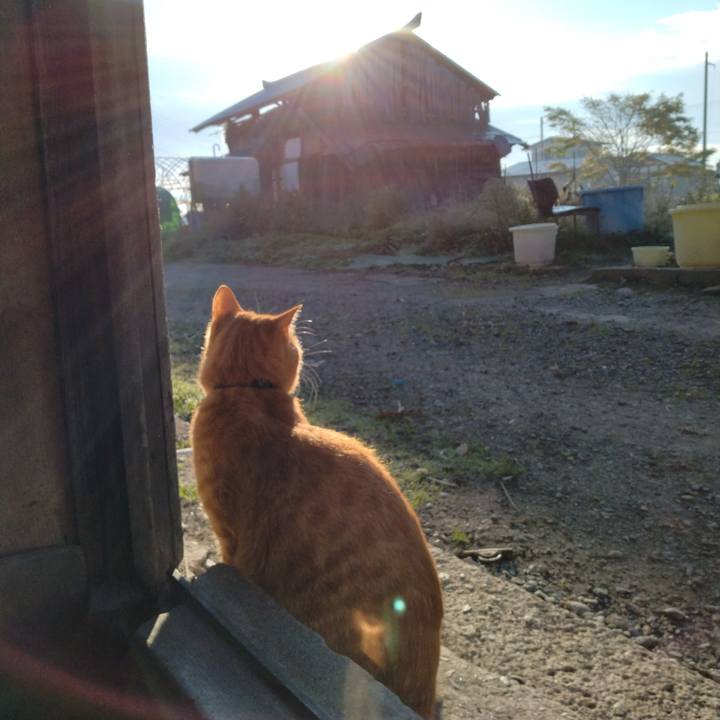 8f62965e 30ac 4edf 8097 e3c2dba0096e 1666392427477