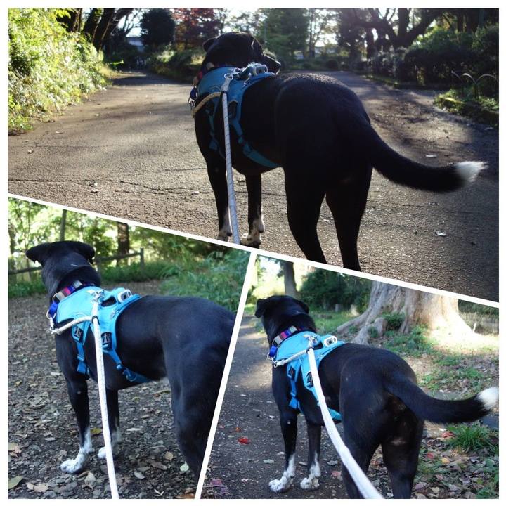 8f629b46 5dfd 4be6 9200 0805ec8e21eb 1635466400136