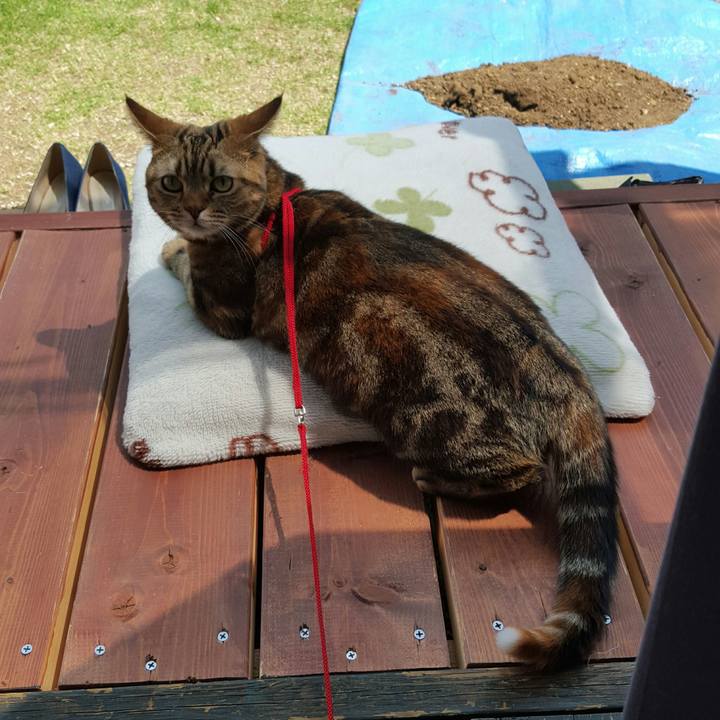 8f62a412 29f3 4a39 9a7c 1ccb34e72842 1521296688392