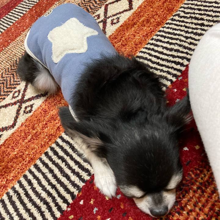 8f62b0a7 2c40 42f3 9244 567a5339b832 1671288457350