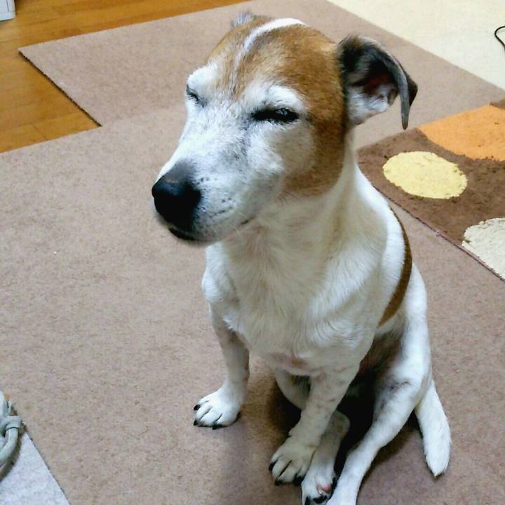 8f62d5f6 445d 447a a0bb d87b8cafe188 1513258718762