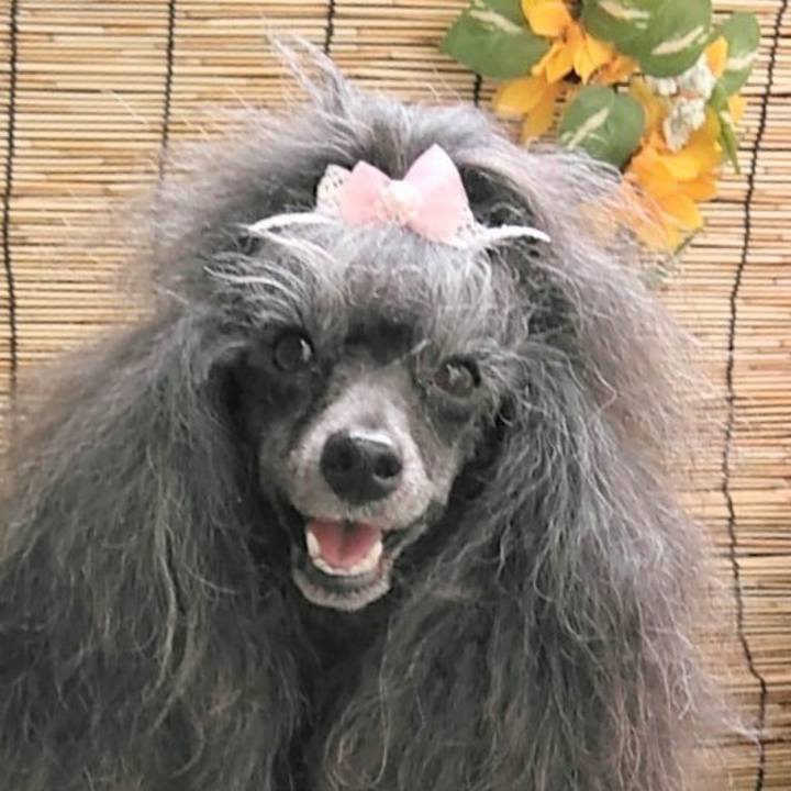 8f62e243 0e27 4720 be16 0314ad0b55d9 1691584377489