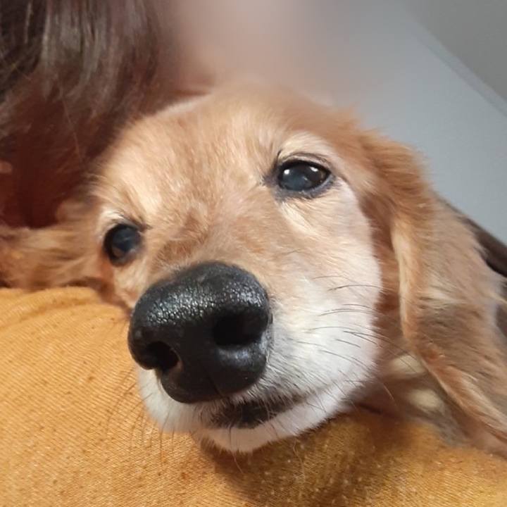 8f632fc6 c1e3 47fb bd44 4b162bf9265e 1643631529689