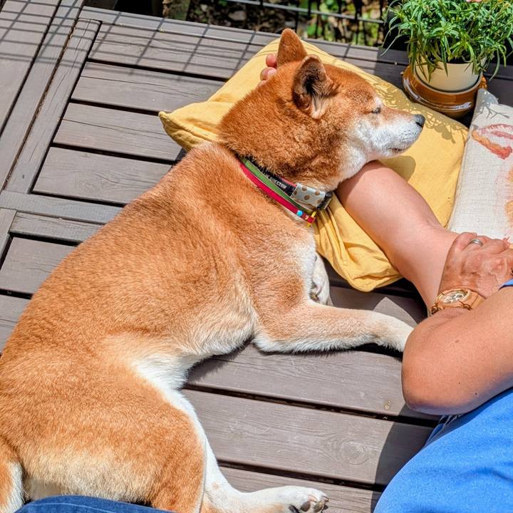 8f634f3e 8a44 49fb acdf dc46ade283b0 1748860777977