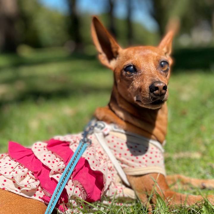 8f635d9b ecfa 46ee b4e7 b151032b8171 1662801311826