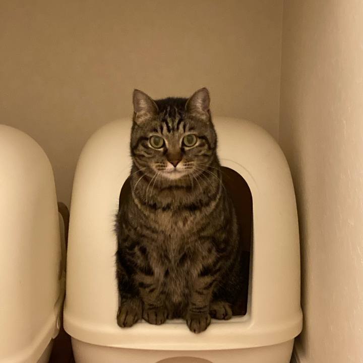 8f6361b2 1115 4d84 ba0d f54c730439b5 1650379537586