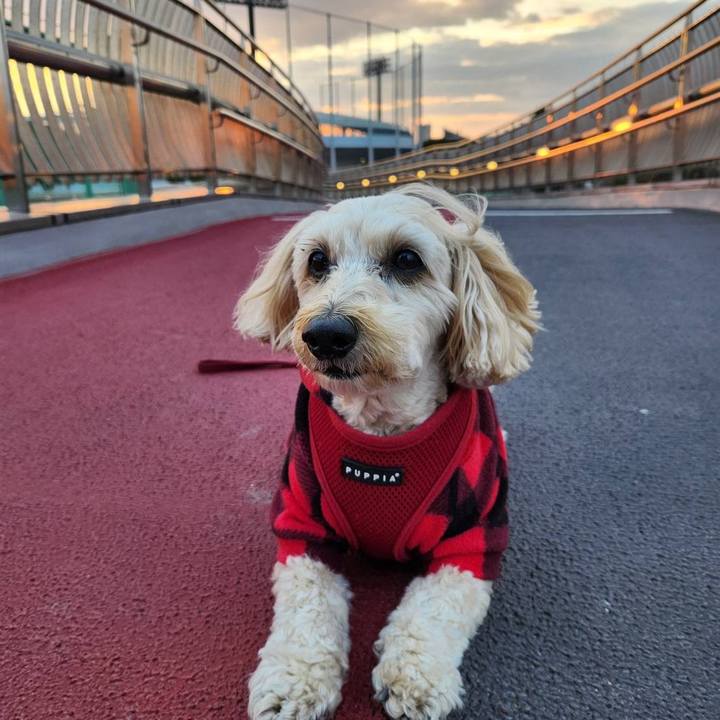 8f637521 9781 4dfd b699 a217bce045c2 1767593711132