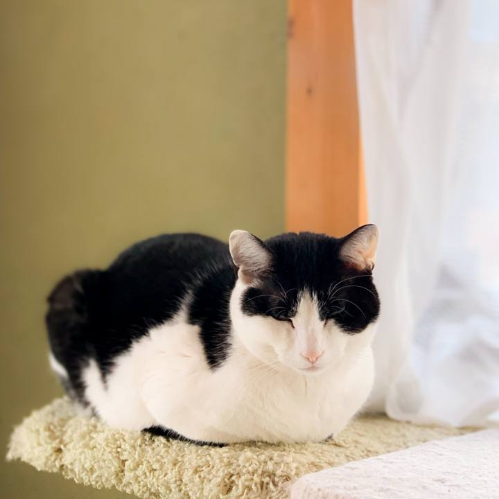 8f637baa ff96 49dd a18a 876c602bdd56 1591320277055