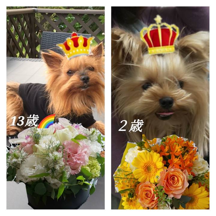 8f638215 af00 4ba2 ae8a dd94c3babd92 1643780541617