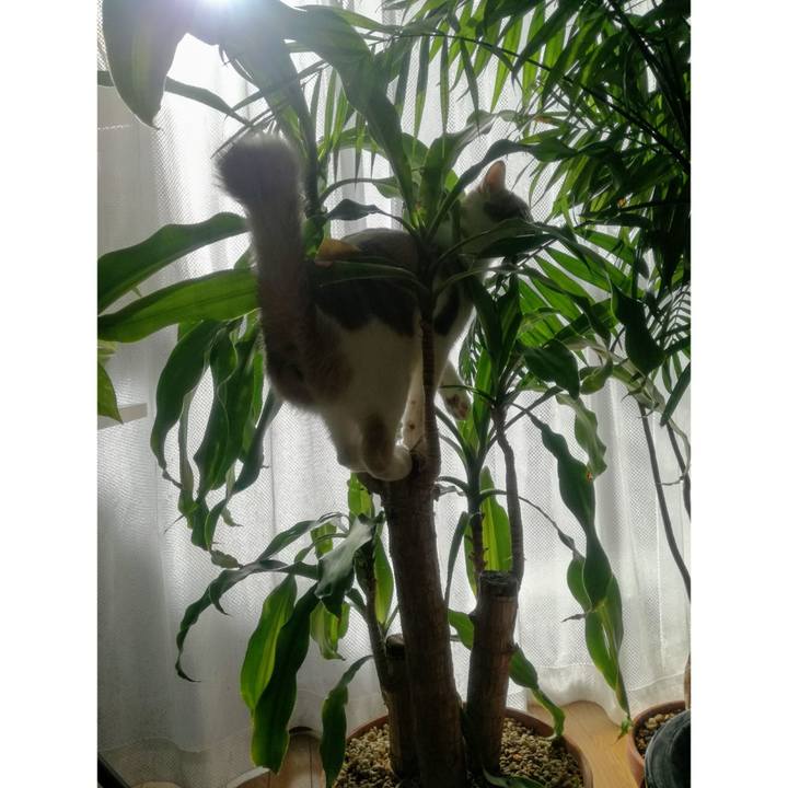 8f6388db 0c0c 455d 81bd 44daf675589b 1614932408431