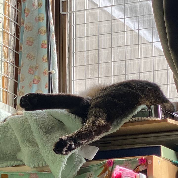 8f638a80 e377 4e9d aab0 e891994767c7 1574212895396