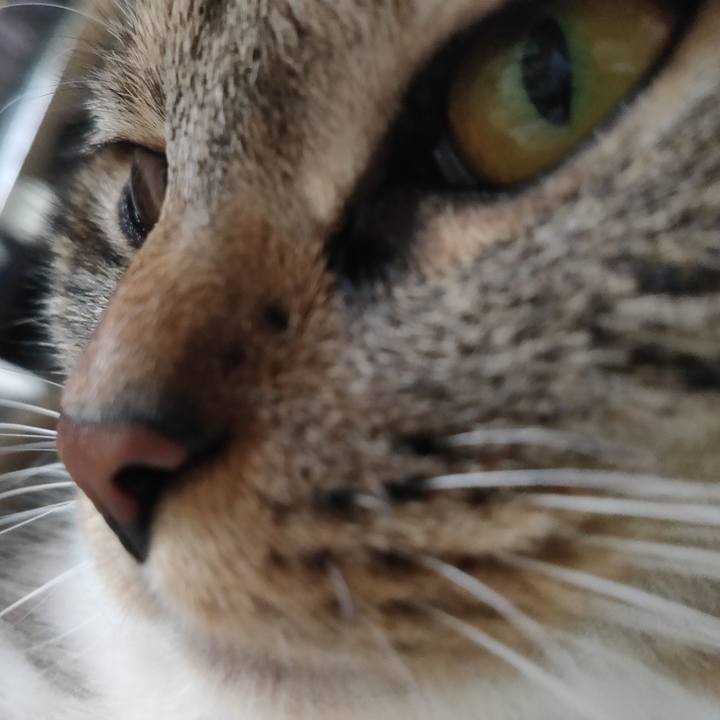 8f639025 3a7b 46cc 9a29 ff16abfc87f4 1662082163759