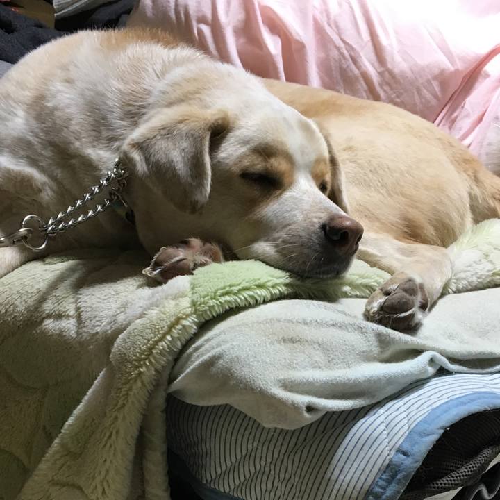 8f639183 970e 4e1d a7ab 321fc44b9dfc 1516878084679