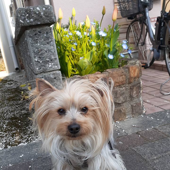 8f63dd8e 71a7 4018 a2ad 888cb5d301d2 1649233453911