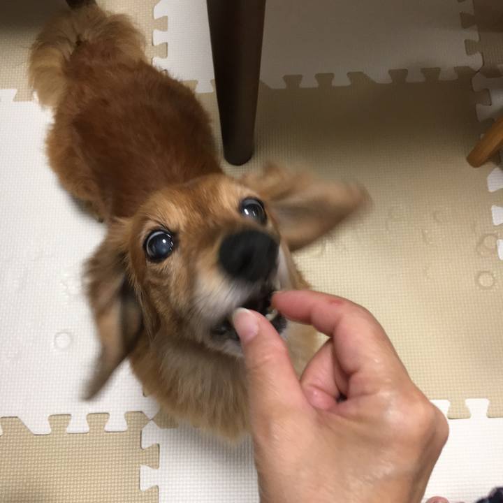 8f63ffa4 8299 41f8 a682 def71d3f8554 1622643901702