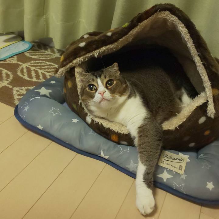 8f643d42 56f2 41ff bcf6 3e2a4dcb5dbc 1602242846036