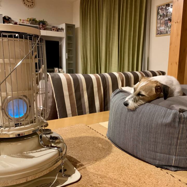 8f644010 dab5 4297 9838 aabb2d1b732b 1613913579158