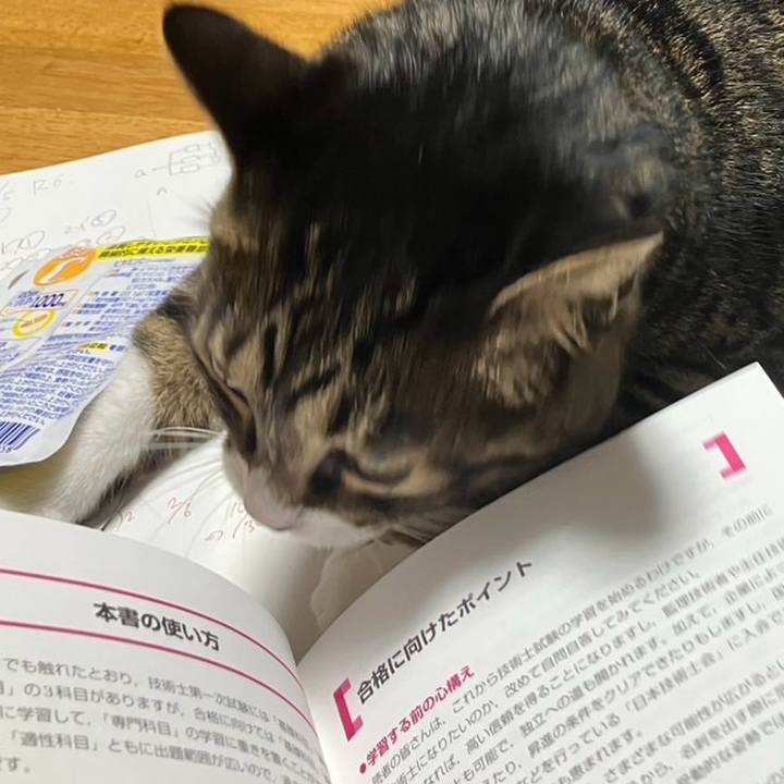 8f6466a8 057e 4af4 bda0 fc653e345d71 1754436726706
