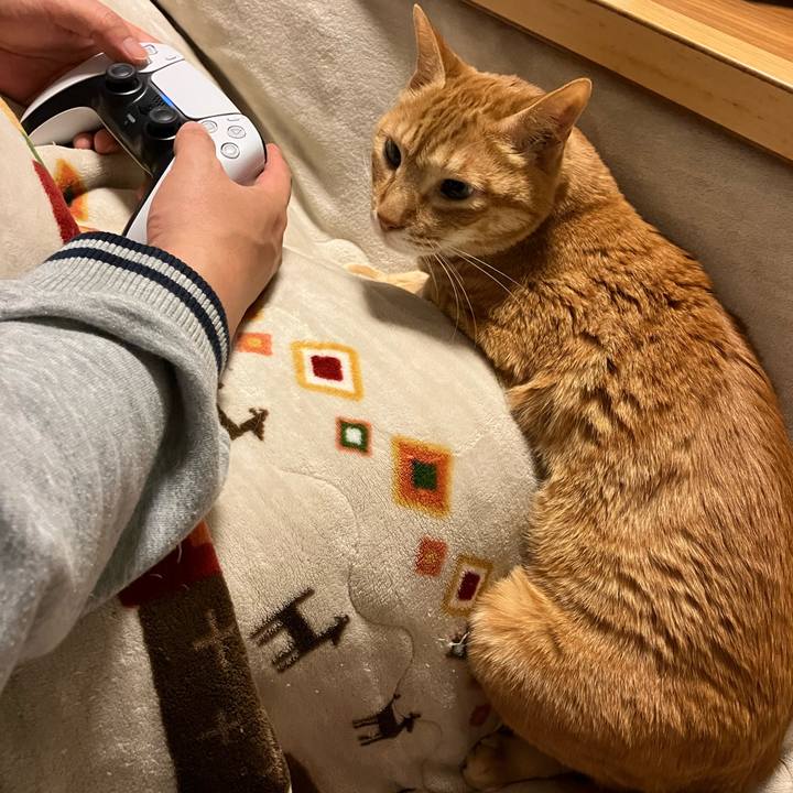 8f646776 1383 4c5f 918b 4ea6dbfc37d3 1768481773923