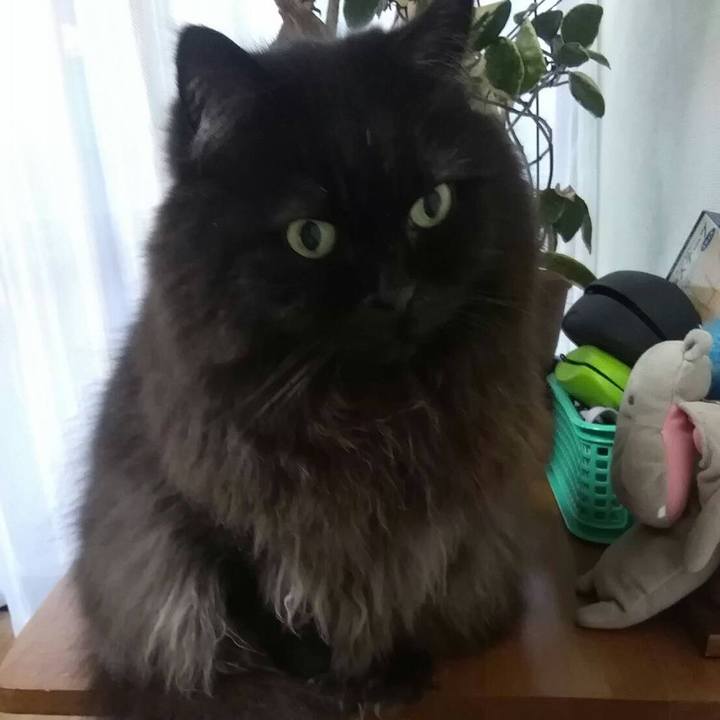 8f64af32 c99d 4214 b663 3d9388531915 1514420597142