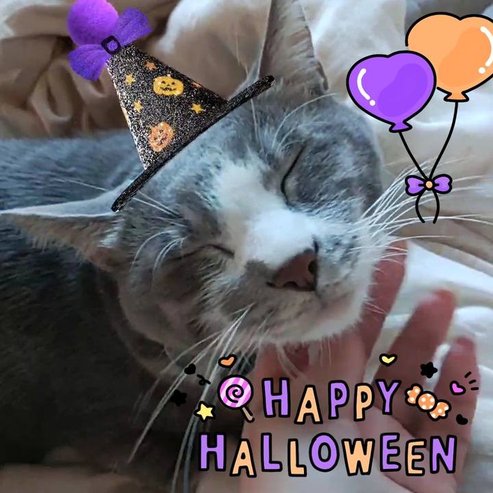 8f64da2d 0c77 469b a967 1753fe521c4a 1698668455556